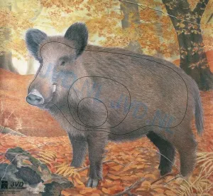 Target Face Wild Boar