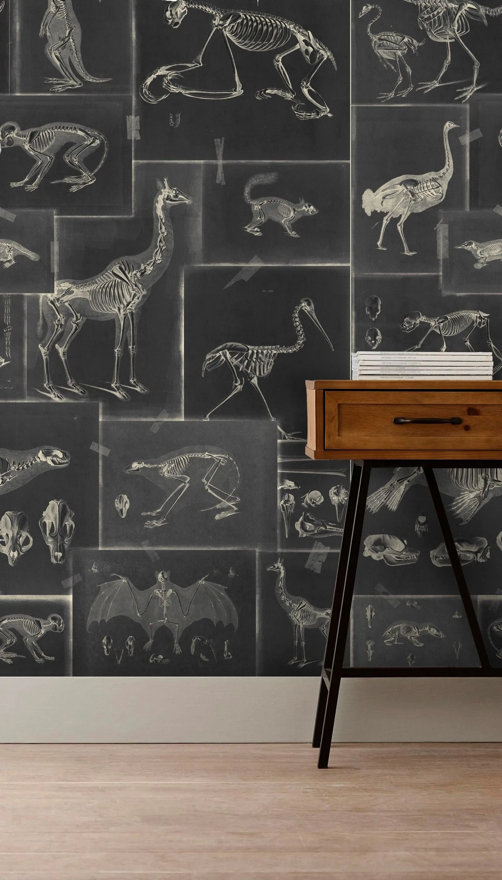 Zooarcheology Wallpaper