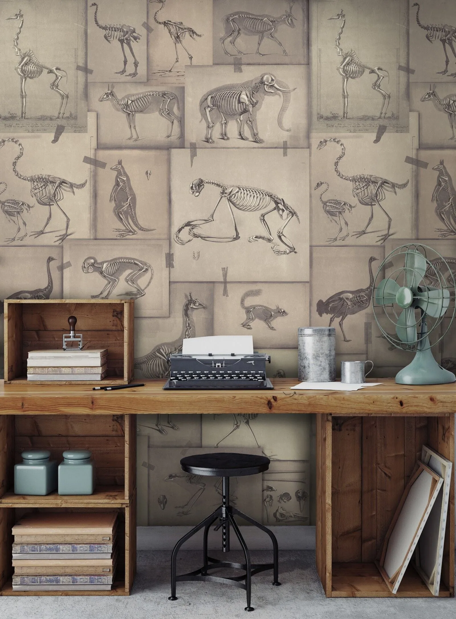 Zooarcheology Wallpaper